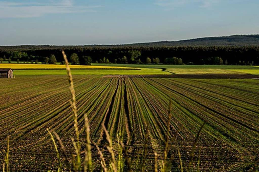 Gaestehaus Kohlberg Kohlberg  Zewnętrze zdjęcie